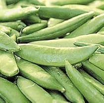 Sugar Sprint - Packet - Snap Peas Vegetables