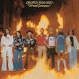 Street Survivors