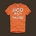正規・ホリスター　 HOLLISITER メンズHadson Ｔシャツ /円高還元