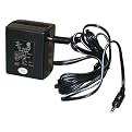 Itty Bitty 110V Adapter for Travel