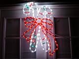 Holiday Lighting - Rope Lights