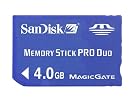 SanDisk SDMSPD-4096...