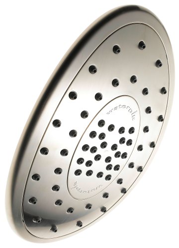 Waterpik AquaScape Dual Mode Showerhead, Brushed Nickel #AST-239