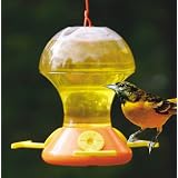 BirdCompanyFliteline48OunceOrioleFeeder