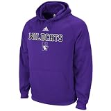 Northwestern Wildcats adidas Black Pindot 2011 Sideline Embroidered Hooded Sweatshirt