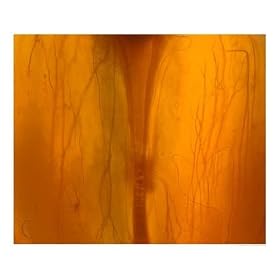 Interior of a Japanese Persimmon