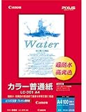 CANON カラーBJ用普通紙 A4 LC-301A4