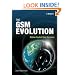 The GSM Evolution: Mobile Packet Data Services