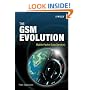 The GSM Evolution: Mobile Packet Data Services
