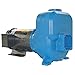 Centrifugal Pump, 5 HP, 11.8/5.9 Amps