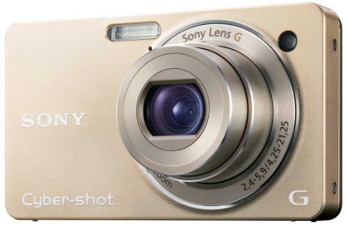 Sony Cyber-shot DSC-WX1 10MP Exmor R CMOS Digital Camera with 5x Optical Steady Shot Stabilized Zoom and 2.7-inch LCD (Gold)