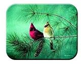 Tuftop Tempered Glass Kitchen Board Cardinals - Small by Tuf Top Cutting Boards
