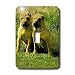 Dogs Chinese SharPei - Chinese SharPei - Light Switch Covers - single toggle switch