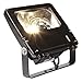 LED Floodlight, 148W bulb, 13450 Lumens