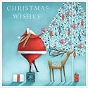 Save the Children Charity Christmas Cards - Box of 16 (2 Designs, Santa & Reindeer)