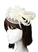 Coolr Women's Fascinators Hat Small Hairpin Feather Mesh Flower Hairclip (Beige)