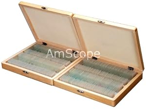 200pc Student Basic Science Prepared Microscope Slides with Wooden Case