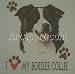 Border Collie Love - Cats and Dogs Long Sleeve T-Shirt