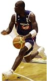 Mickael Pietrus , 43x75