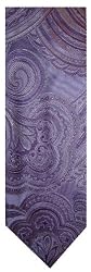 Men's Donald Trump Necktie Neck Tie 100% Silk Purple/Silver
