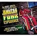 Jamaican Funk Experience