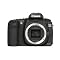 A Decent 20D Startup