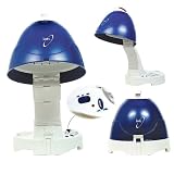 Ion Conditioning Hard Hat Dryer