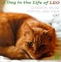 A Day in the Life of Leo: Classical Music for You and Your Cat