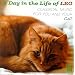 A Day in the Life of Leo: Classical Music for You and Your Cat