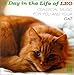 A Day in the Life of Leo: Classical Music for You and Your Cat