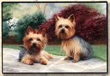 Yorkshire Terrier Yorkie on Porch Doormat Mat Rug