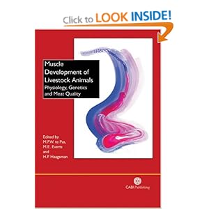 Muscle Development