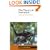 The Theory of Evolution (Canto)