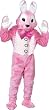 Pink Deluxe Easter Bunny Mascot
