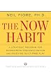 The Now Habit: A Strategic Program for Overcoming Procrastination and Enjoying Guilt-Free Play