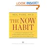 Now Habit: A Strategic Program for Overcoming Procrastination and Enjoying Guilt-free Play