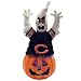 Chicago Bears 16 Fiber Optic Ghost - NFL Football