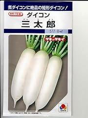 三太郎大根　　タキイ種苗の短形大根の種です
