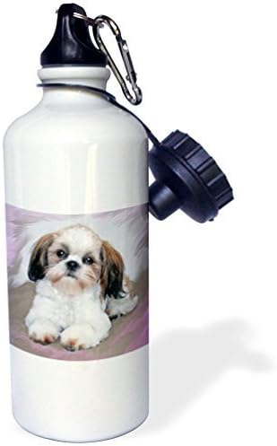 YuieKim Shih Tzu Puppy Sports Water Bottle - 20 Oz