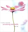 Guide to Growing Glorious Annuals