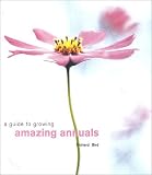 A Guide to Growing Amazing Annuals