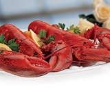  : 1 1/4 Lb. Live Legal Lobsters for 2 Gift Certificate-Shipping Included