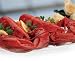 Gourmet Food : 1 1/4 Lb. Live Legal Lobsters for 2 Gift Certificate-Shipping Included