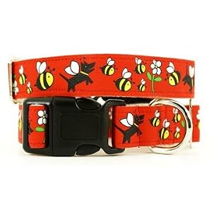 Designer Dog Collar - Honey Dog Buckle Collar - Red - Medium - Made in USA