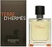 Terre D'Hermes by Hermes for Men 3.3 oz Eau de Toilette Spray