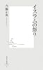 イスラムの怒り (集英社新書 493A)