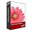 Grammar Fitness sets ( Grades 4 through 6 ): Home Version