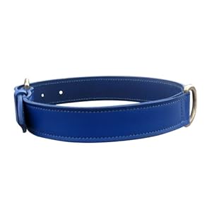 dogs collars harnesses leads basic collars dogs collars harnesses leads basic collars