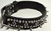 Sporting Goods : Scott Latigo Collar Xd Spiked 1.5 X 22 Black