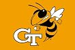 Georgia Tech Yellow Jackets Indoor/Outdoor Floormat